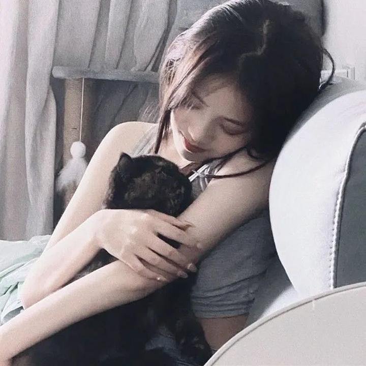 云深不知梦